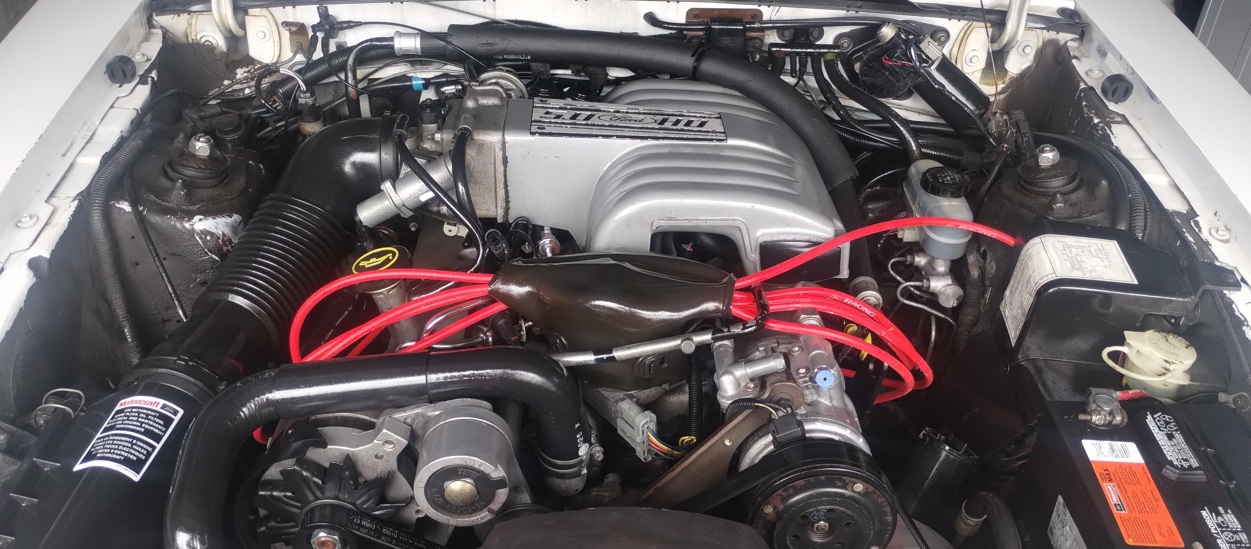 A must for car enthusiasts