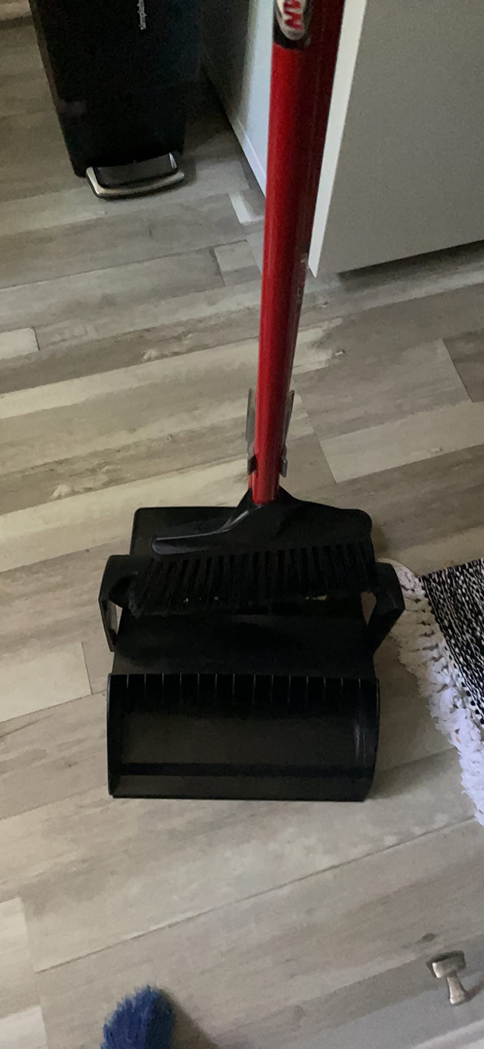 Great buy
