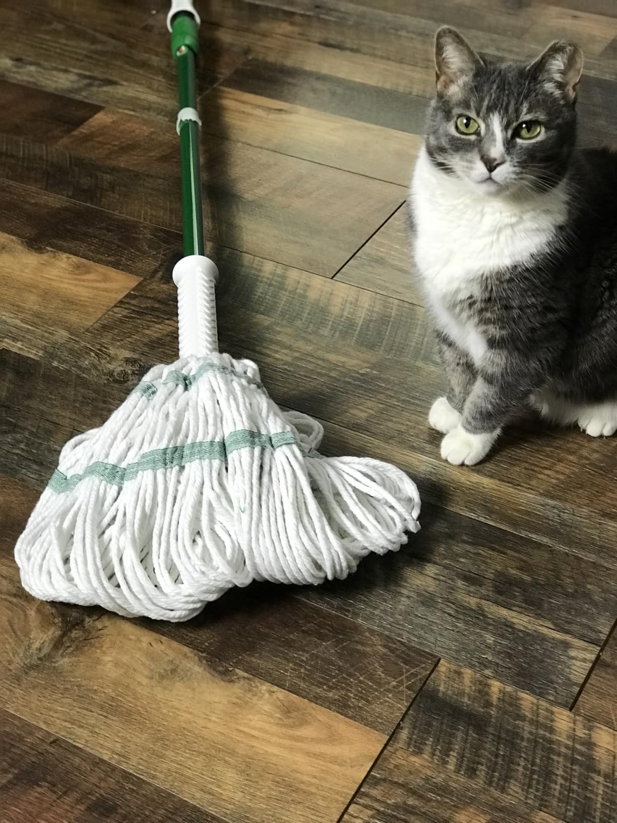 Best mop ever